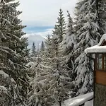 готельний комплекс парламент, Casa rural Yablunytsya